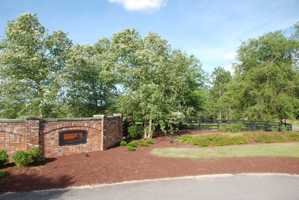 Gallery Tod's Hill Tod's Hill