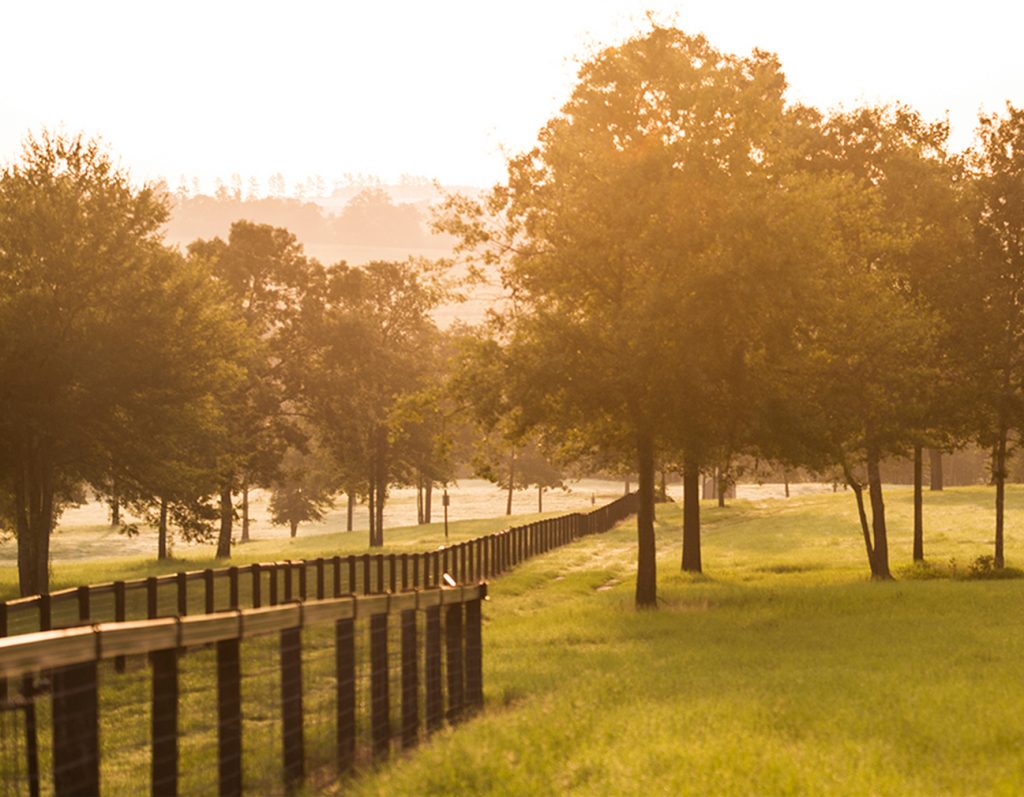 Property Views Tod's Hill Tod's Hill