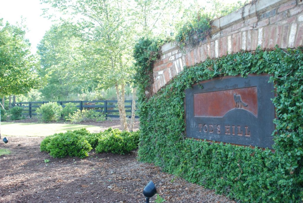 Gallery Tod's Hill Tod's Hill